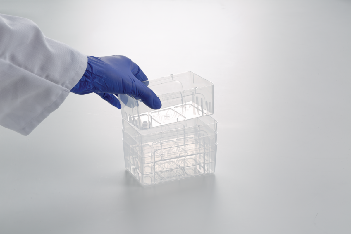 10 µl graduated TipOne® Filter Tip, Natural, Refills (sterile), Case