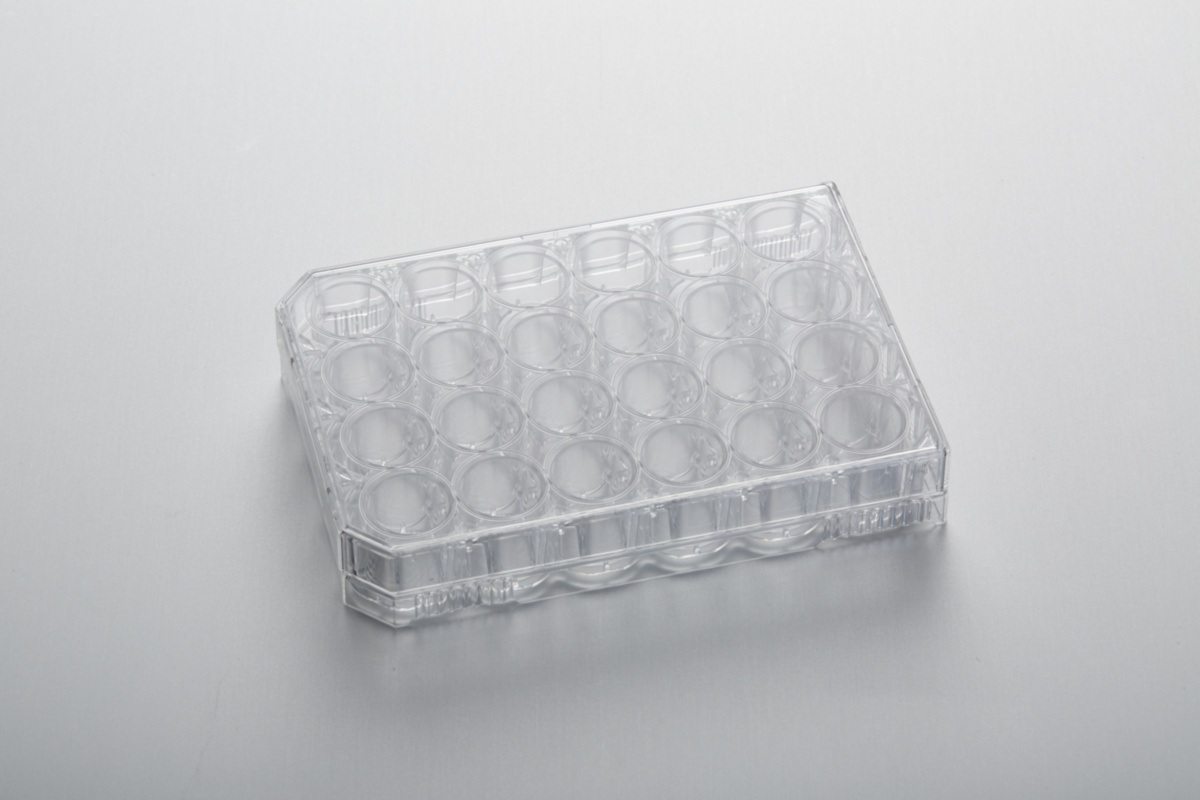 24Well CytoOne® Plate, NonTreated STARLAB