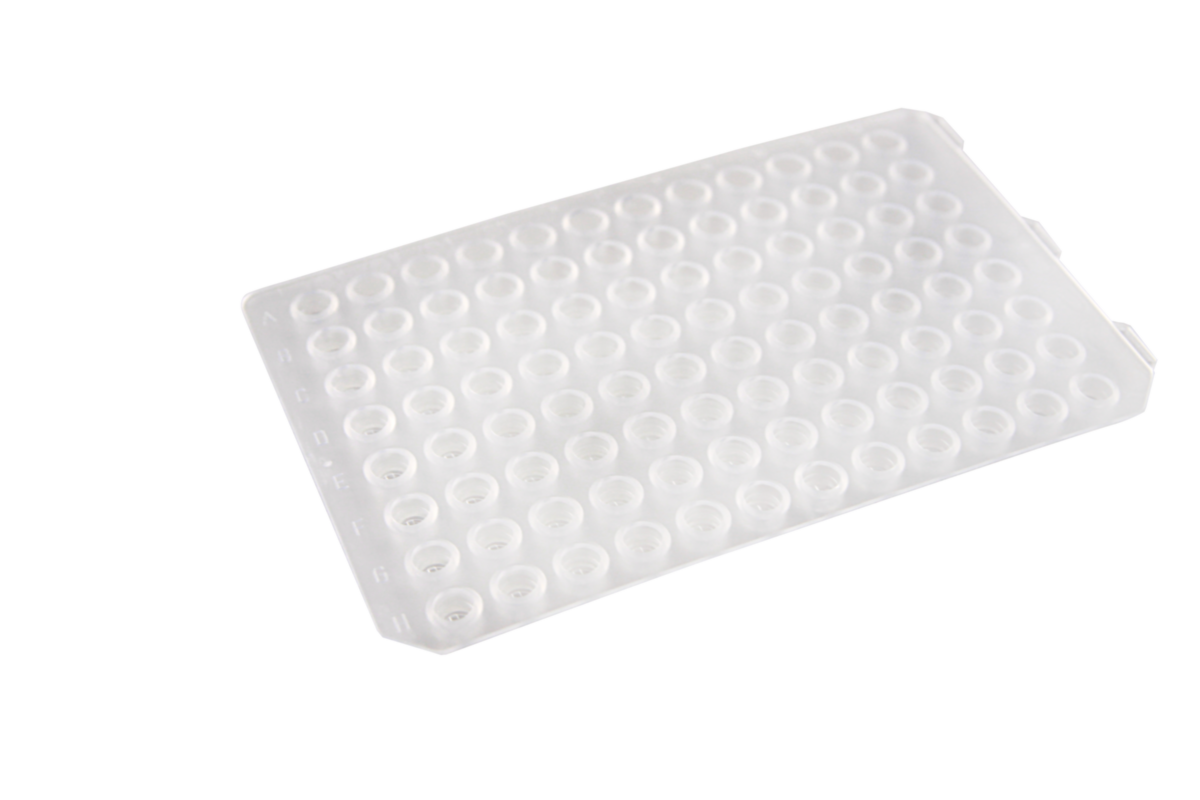 Thermo Scientific™ WebSeal™ CLR Silicone Mat, 384 square wells