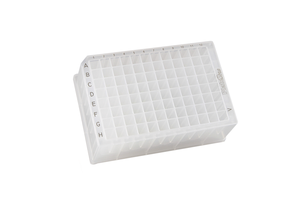 美しい Suusan 117 Saeさん4 9 4 その他 Www Enquip Com Br