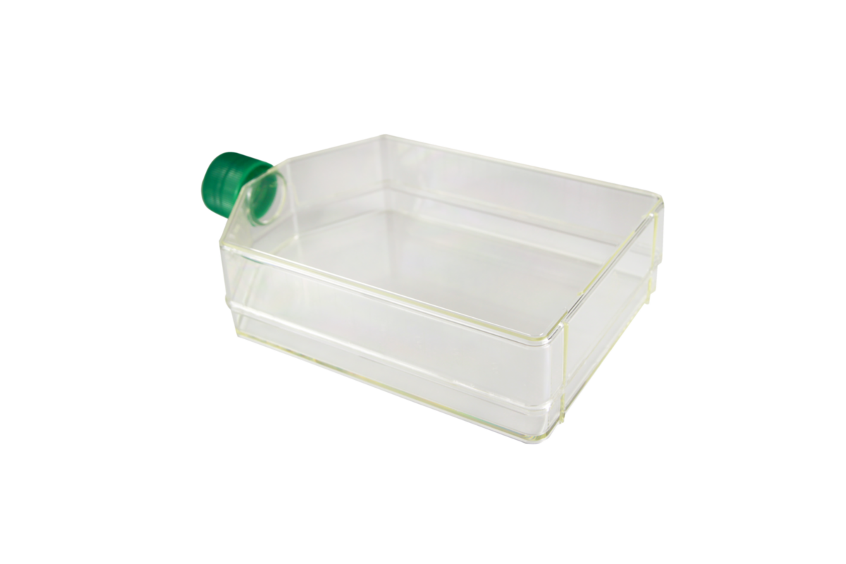 T225 CytoOne® Flask, TCTreated STARLAB