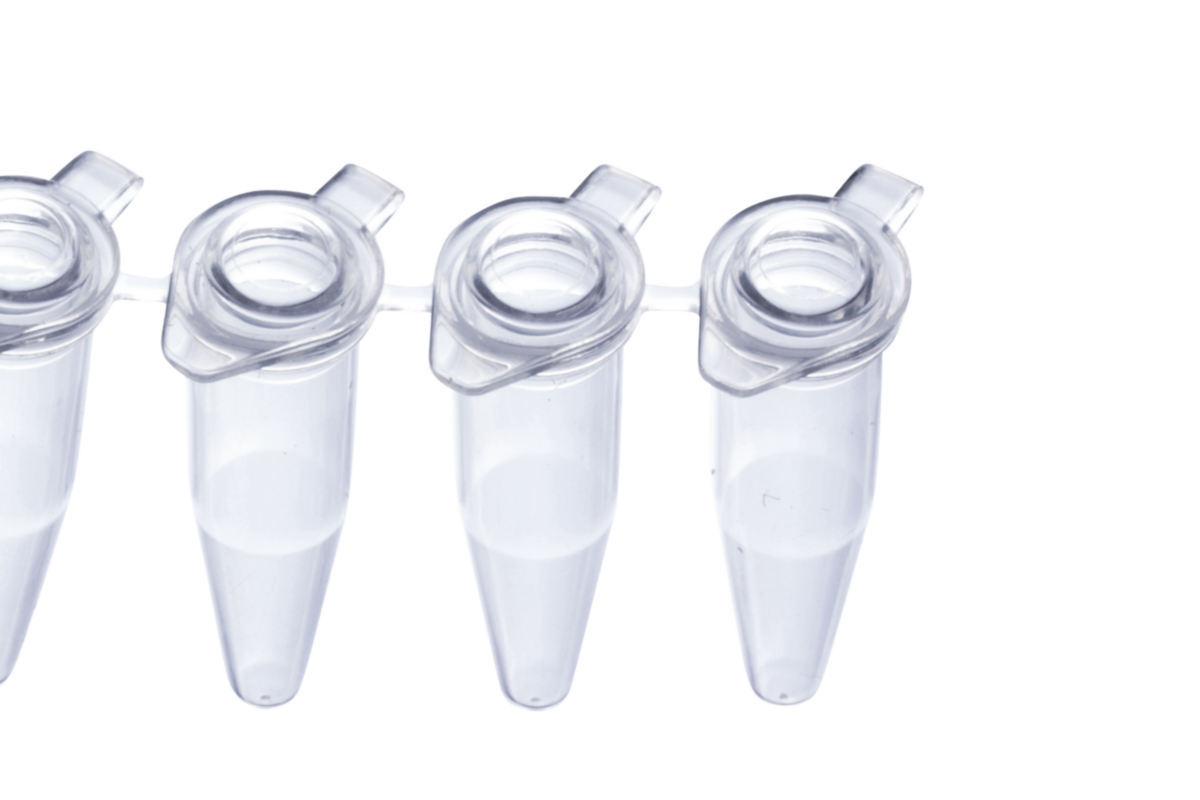 0.2 ml 8Strip PCR Tubes, Individually Attached Domed Caps, Natural