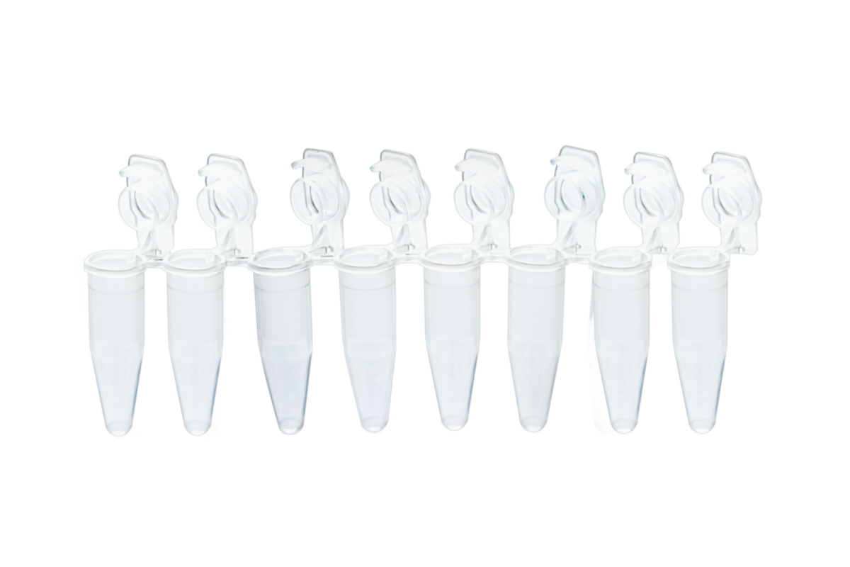 0.2ml 8Strip PCR Tubes, Individually Attached Domed Shielded Caps