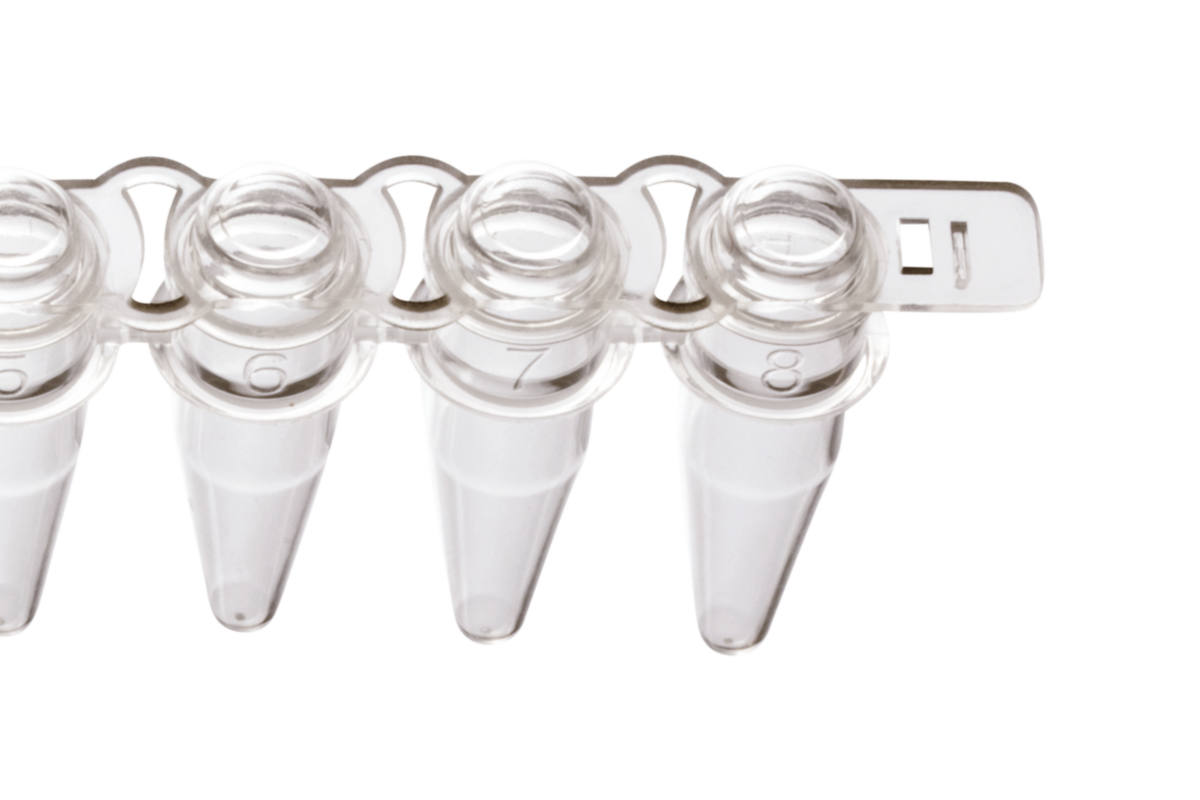 0.2 ml 8Strip PCR Tubes, Natural and 8Strip PCR Caps, Domed STARLAB
