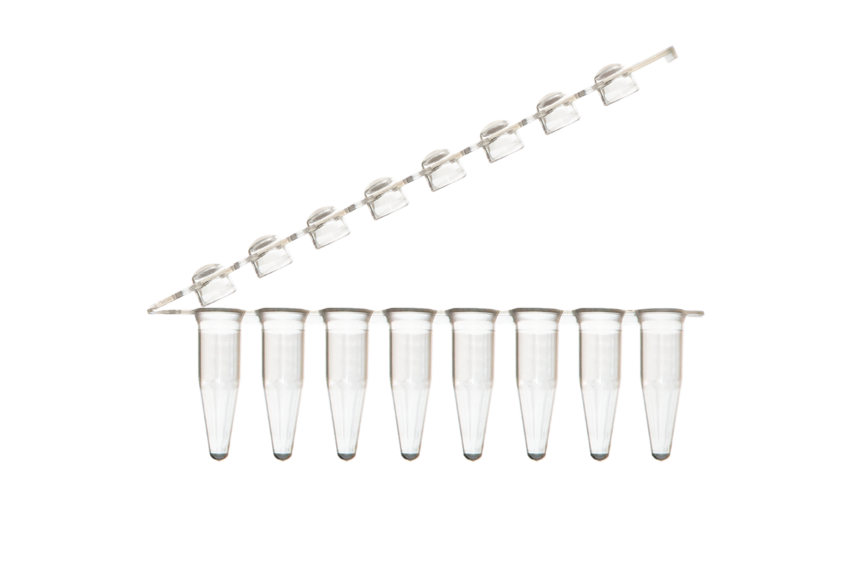 0.2 ml PCR Tube, Domed Cap, Natural STARLAB