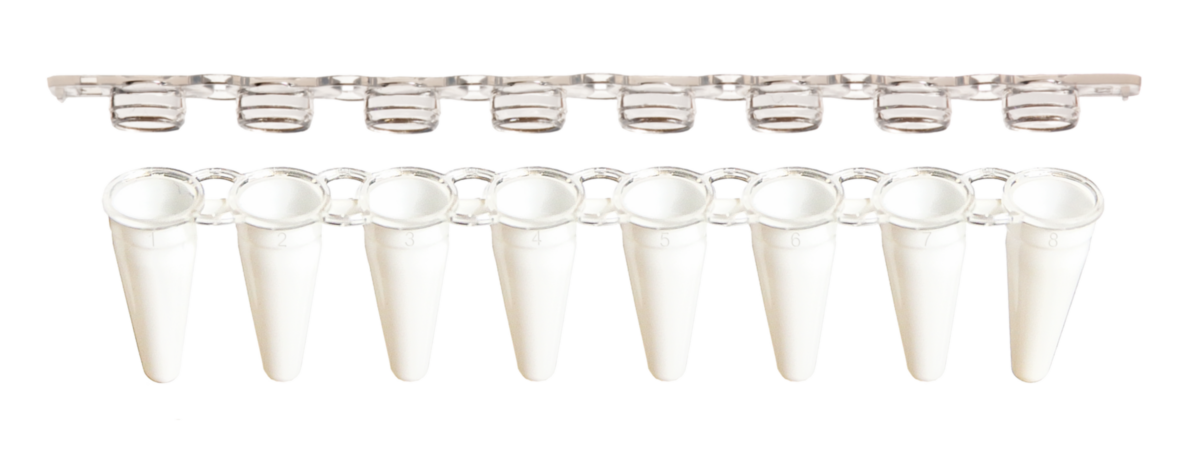 0.2ml PCR 8-Strip Tube & Separate Flat Cap – APS LABS - View #3