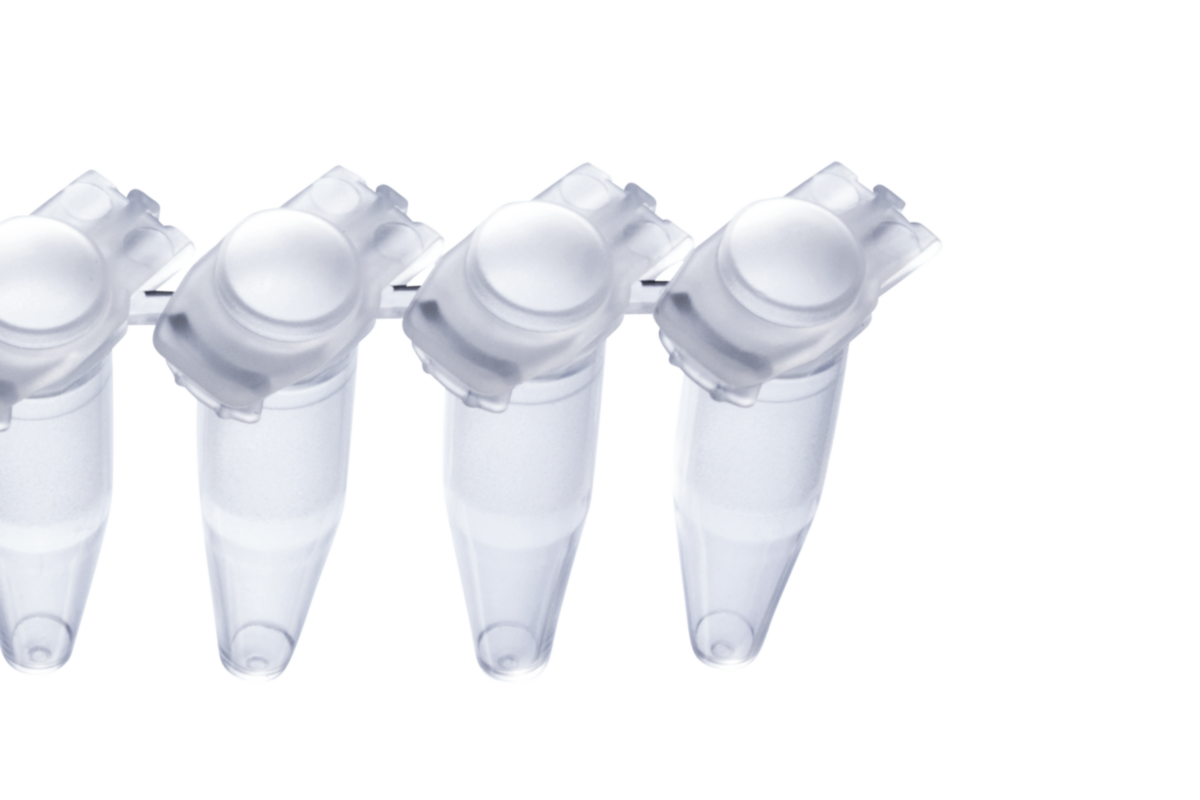 0.2ml 8Strip PCR Tubes, Individually Attached Domed Shielded Caps