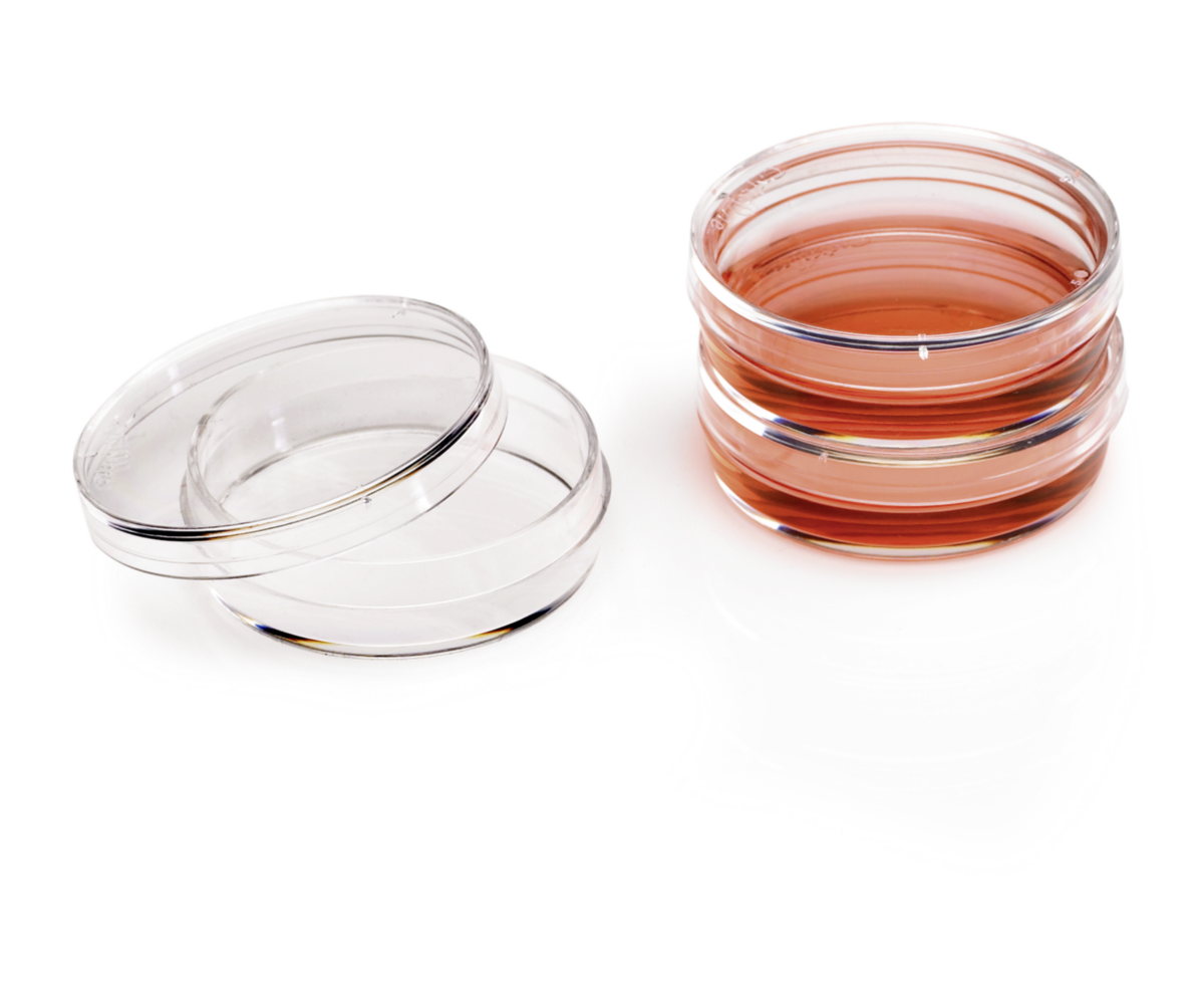 150 x 20 mm CytoOne® Dish, TCTreated STARLAB
