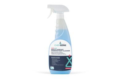 Eucalyptus Spray