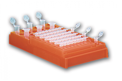 Image – PCR Workstation (Workstation completa)